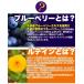�^�C���Z�[��!! �u���[�x���[�����e�C���T�v�� ��4������ �T�v�� �������� �v���~�A�� ���� �֘A�摜2