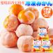  Ehime префектура запад . мир производство мандарин 100% использование!!.... ..-. рефрижератор мандарин ....15 шт (5 штук ×3 пакет * примерно 700~800g) бесплатная доставка рефрижератор A premium . покупка 