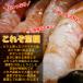 �{�^���G�r ���� 1kg�O�� 14�`20���O�� �h�g �� �q ���� ���� �C�V �� � �Ղ���ƊÖ�����V�N�}������ �֘A�摜4