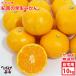 . дом для мандарин магазин . юг. . сырой мандарин уншиу нет выбор другой ( примерно 10kg)* царапина есть * размер не комплект бесплатная доставка * Hokkaido * Okinawa префектура. доставка невозможно 