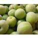 .. production south height plum blue plum 3L size approximately 10kg. home use, pickled plum * plum wine * plum juice for * somewhat scratch equipped * one part region Hokkaido * Aomori * Akita * Iwate * Okinawa * remote island delivery un- possible 