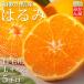 2 месяц средний . отправка предположительно . дом для мандарин магазин.. ..( примерно 5kg)L размер . юг. мандарин * немного царапина есть бесплатная доставка * Hokkaido * Okinawa префектура. доставка не возможно Wakayama . для бытового использования 