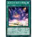 �⳦���ܡ��Ⲧ�ι��ס� ��DP20-JP054�ۡ�N��_
