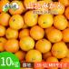  мандарин гора север мандарин есть перевод примерно 10kg меласса . мандарин уншиу . земля мандарин 10 kilo маленький шар большой шар B товар .. прямая поставка от производителя .. фрукты фрукты бесплатная доставка Yamato отправка 