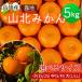  мандарин гора север мандарин Kochi производство примерно 5kg меласса .. земля мандарин 5 kilo маленький шар маленький шарик мандарин средний шар большой шар размер можно выбрать фрукты mi can для бытового использования прямая поставка от производителя бесплатная доставка Yamato отправка 