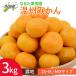  мандарин Narita фруктовое дерево .. шерсть мандарин мандарин уншиу Kochi производство примерно 3kg меласса .. земля mi can 3 kilo .. Mix размер прямая поставка от производителя .. фрукты для бытового использования бесплатная доставка 