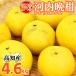  Kawauchi .... есть перевод Kochi префектура производство . шерсть Special производство Kawauchi ..4.6kg L~5L размер не комплект для бытового использования прекрасный сырой . производство сельское хозяйство дом прямая поставка лето помело ....ju-si- бесплатная доставка 