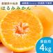 [ предварительный заказ ] средний остров производство. .. мандарин для бытового использования 4kg размер оставив решение кому-то другому. .. мандарин . пестициды прямая поставка от производителя остров мандарин местного производства Ehime префектура желающий. остров производство no- воск . коррозия . не использование бесплатная доставка 