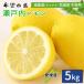  прямая поставка от производителя Seto внутри лимон 5kg для бытового использования осталось . пестициды Zero Seto внутри море отдаленный остров .. Ehime префектура средний остров производство желающий. остров производство . пестициды no- воск . коррозия . не использование бесплатная доставка 