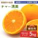 [ предварительный заказ ] средний остров производство summer Kiyoshi видеть 5kg.. для специальный отбор товар средний шар ML размер средний остров мандарин . пестициды прямая поставка от производителя язык гол Kiyoshi видеть orange Ehime префектура желающий. остров производство . коррозия . не использование бесплатная доставка 