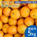  предварительный заказ прямая поставка от производителя мандарин . маленький шарик 5kg 60~80 шт для бытового использования маленький шар S*2S размер местного производства Seto внутри море Ehime префектура средний остров производство желающий. остров производство . пестициды no- воск . коррозия . не использование бесплатная доставка 