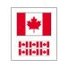  лицо наклейка большой * маленький комплект Canada национальный флаг рисунок тату-наклейка 
