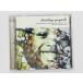  быстрое решение CD VARIOUS ARTISTS HEALING GOSPELS sweet harmonies spiritual vibrations and holy voices / WPCR-2014 J05