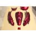  Honda Live Dio Dio AF34 2 type II type экстерьер обтекатель 7 позиций комплект блестящий красный wine red неоригинальный товар 