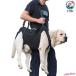  собака уход приспособление для ходьбы Harness . собака уход для домашнее животное Harness уход сопутствующие товары маленький размер собака средний собака большой собака . собака . применение товары для домашних животных домашнее животное товары собака сопутствующие товары товары для ухода удобный 