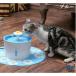 �C���R������ �t�����[�t�@�E���e�� �L �݂��̂� ����  ������ �L�̋����@ �C���R �o�[�h�o�X �C���R�p���� �������ȒP �g���₷�� ���K �������� �֘A�摜5