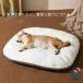  собака для коврик собака bed кошка bed 4 сезон обращение ... собака для коврик подушка имеется домашнее животное коврик кошка bed .. подушка имеется 4 сезон обращение ... собака маленький размер собака Cat's 