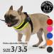 torepontifi Via регулируемый soft сетка TRE PONTI Fibbia adjustable SOFT MESH Size3 Size3.5 Harness ltp123 Италия производства размер настройка возможность 