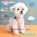 кошка для . данный .& Harness & Lead комплект домашнее животное . данный . домашнее животное Lead кошка сопутствующие товары домашнее животное товары кошка Lead кошка для шлейка скидка шнурок ночь отражающий "дышит" выпадение нет выход сопутствующие товары 