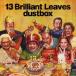 dustbox 13 Brilliant Leaves CD