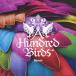 A Hundred Birds Mynah CD