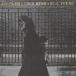 Neil Young after * The * Gold * Rush CD