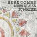J HERE COMES NAMELESS SUNRISE���̾��ס� CD