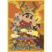  фильм Crayon Shin-chan гроза ...!... ka ska be boys DVD * привилегия есть 