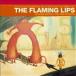 The Flaming Lips Yoshimi Battles the Pink Robots LP