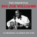 Big Joe Williams The Essential CD