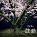 SOFFet ư 12cmCD Single