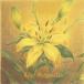 Dragon Ash Lily̾ס 12cmCD Single