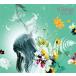 KASHIWA Daisuke 9 Songs CD