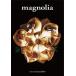  Magno задний DVD