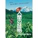  человек. подтверждение DVD