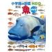 сосна .. один Shogakukan Inc.. иллюстрированная книга NEO( новый версия ) рыба DVD есть DVD есть [BOOK+DVD] Book