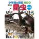  маленький .. один Shogakukan Inc.. иллюстрированная книга NEO( новый версия ) насекомое DVD есть DVD есть [BOOK+DVD] Book