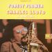 Charles Lloyd forest * цветок < совершенно первый раз производство ограничение запись > SHM-CD