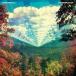 Tame Impala Innerspeaker CD