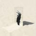 Penguin Cafe The Imperfect Sea CD