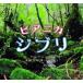  среда. море . line .. Piaa nika Ghibli CD