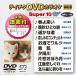  Tey chikDVD караоке super 10 W (573) DVD