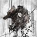 TRNTY D:CODE [HELL]hound. CD+DVDϡס 12cmCD Single