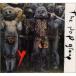 The Pop Group Y( последний. предупреждение )(tifinitivu* выпуск )< обычный запись > CD