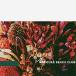MARQUEE BEACH CLUB journey/feel㴰ץ쥹ס 7inch Single