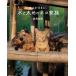  скала . свет . театр версия скала . свет .. мир кошка .. есть . как, вода . большой земля. кошка семья Book