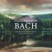Various Artists Classic * сирень kse-shon~ba - CD