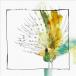 Tooker Nang'o 12inch Single