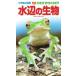  Hakusan .. Shogakukan Inc.. иллюстрированная книга NEO POCKET - Neo ....- вода сторон живое существо Book