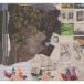 Animal Collective �����ࡦ�����ե� CD